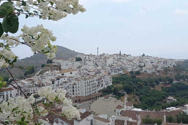 IMG-20200823-WA0042