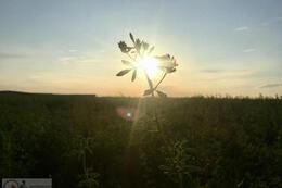 klaudia dobkowicz_3b_3