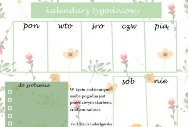 Zdjęcie do Poradnik 1B: Jak organizować czas podczas nauki zdalnej?